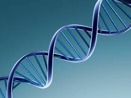 Servizi di test specializzati 53 dna