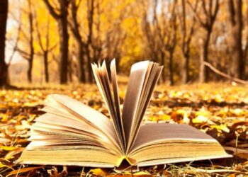 UN BUON LIBRO PER INAUGURARE L'ARRIVO DELL'AUTUNNO 3 libri autunno 2015
