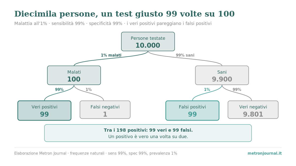 Falsi positivi: perché un test affidabile al 99% può ingannare 3 Albero delle frequenze naturali: su 10.000 persone, con una malattia all'1% e un test con sensibilità e specificità entrambe al 99%, i 100 malati danno 99 veri positivi, mentre i 9.900 sani danno 99 falsi positivi. Tra i 198 positivi totali, metà sono veri e metà falsi.