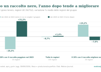Grafico a barre: variazione media della resa del grano tenero nelle regioni UE. Il 20% con il raccolto peggiore nel 2023: −25,3% dal 2022 al 2023, +31,2% dal 2023 al 2024. Tutte le regioni: −0,7% e +1,4%. Il 20% con il raccolto migliore nel 2023: +24,2% e −7,0%.